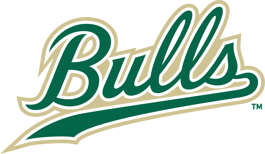South Florida Bulls 2022-Pres Wordmark Logo diy iron on heat transfer